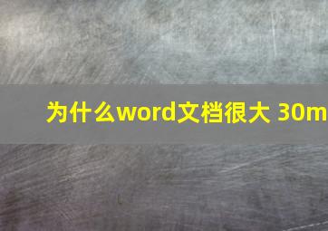 为什么word文档很大 30m